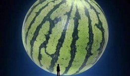 zzy吃瓜八卦,Zzy吃瓜八卦，带你领略明星幕后故事