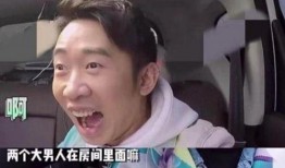 明星扎堆吃瓜,明星扎堆吃瓜，揭秘幕后真相